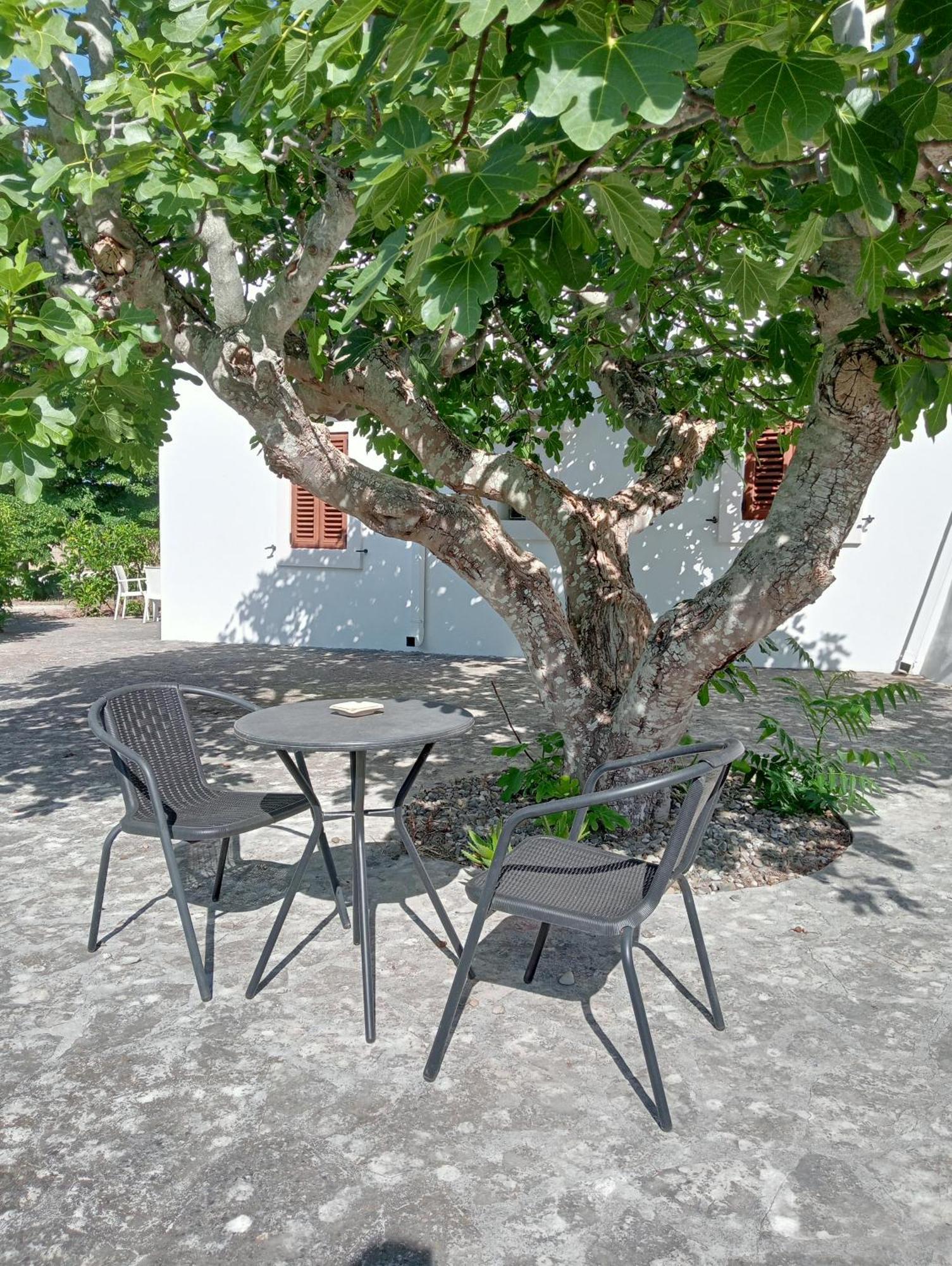 B&B Villa Rosanna Fasano Exterior foto